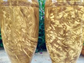 Thân bình to ở trên, thon hơn ở dưới là đặc điểm chung của các mẫu lục bình