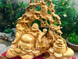 Vật phẩm phong thủy tượng gỗ nu kháo Di Lặc an vui dưới gốc cây Tùng