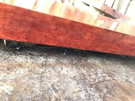 Tấm chiếu ngựa nguyên khối gỗ cẩm vân tự nhiên đẹp long lanh