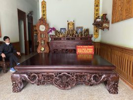 Dạ tiền đục Ngũ Phúc - Kim Tiền - Dơi Thọ