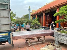 mẫu chiếu ngựa nguyên khối siêu vip